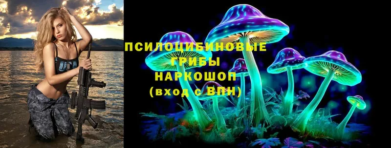 Псилоцибиновые грибы Cubensis  Ярославль 